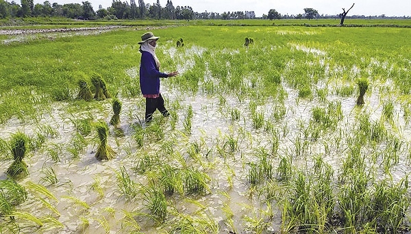 Cuộc mặc cả thương mại Mỹ - Thái